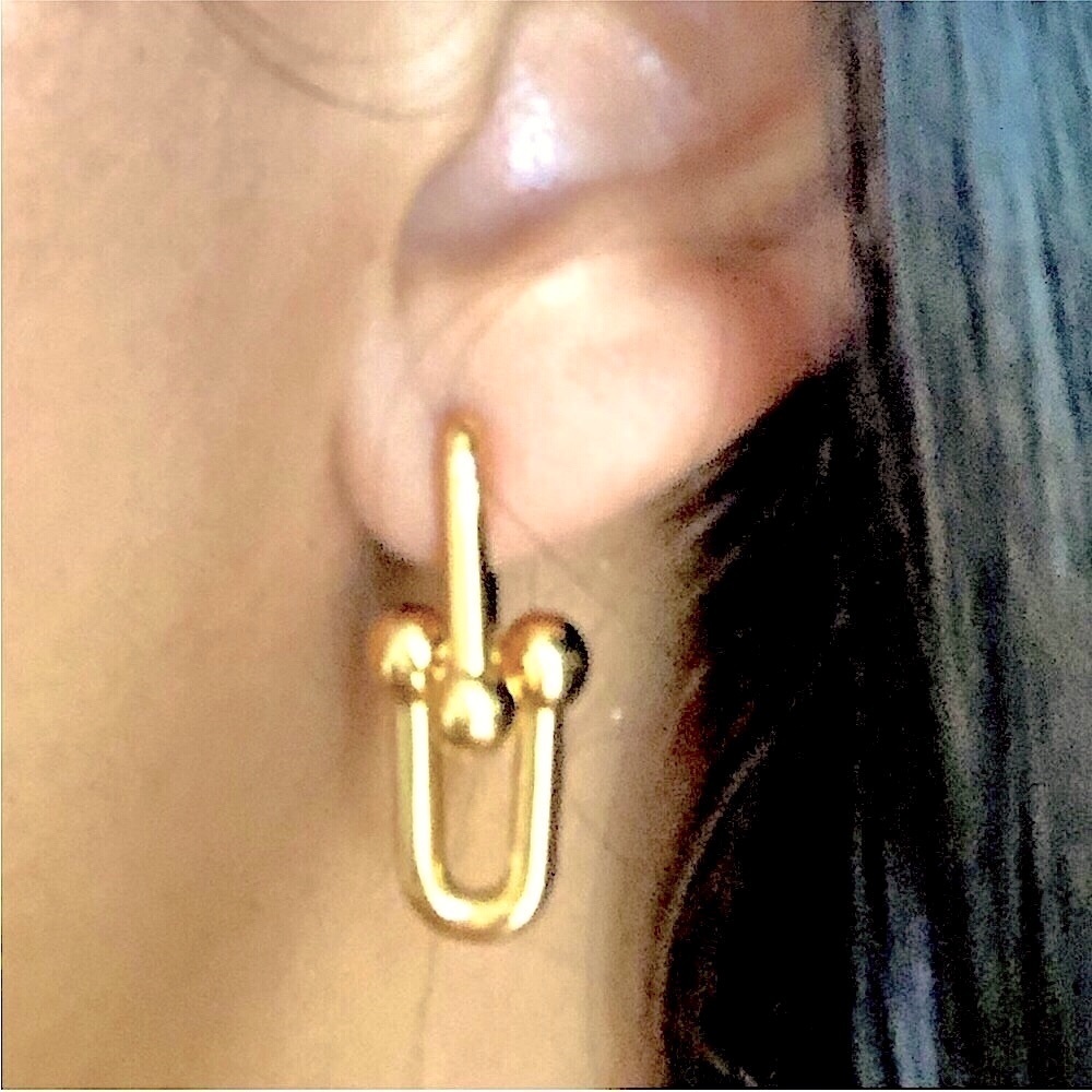 Gold Hardware Link U Earrings